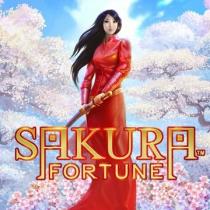 Sakura Fortune игровой автомат